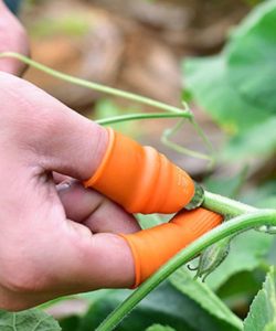 Pratik Baş Parmak Sebze Kesme Ayıklayıcı Erkek L Set