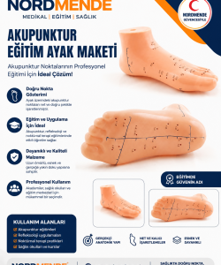 NORDMENDE Akupunktur Eğitim Ayak Maketi Anatomik Refleksoloji Nokta Gösterim Modeli Eğitim Maketi - Görsel 2
